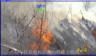 “火眼金睛”分布式智能视频图像火灾检测预警系统