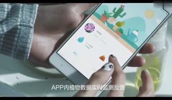 给生活增添一抹绿——智卉花盆