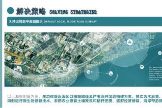 BLUE CARBON PLAN——碳中和背景下沿海盐沼和碳汇的保护