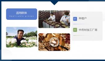 数字中药小程序应用