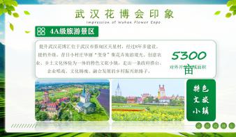 武汉天星村花博汇数字文旅原生态赛事活动创意与设计