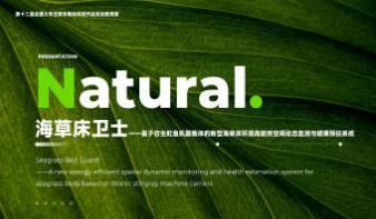 海草床卫士——基于仿生魟鱼机器载体的新型海草床环境高能效空间动态监测与健康预估系统