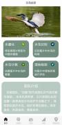 摄踪觅影