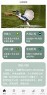摄踪觅影