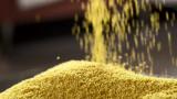 大山里的掘金人——记鲁乡峪家庭农场经理 崔文娟