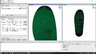 面向定制化运动装备3D打印的三维变形模拟系统(Insole3D)