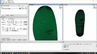 面向定制化运动装备3D打印的三维变形模拟系统(Insole3D)