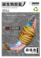 《海洋保护》