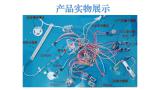 智能化公交车超载实时监测安全系统设计