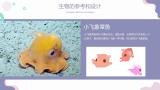 《小可与章鱼》儿童科普绘本