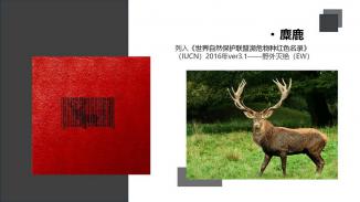 《生命编码》