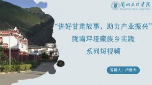讲好甘肃故事，助力产业振兴——陇南坪垭藏族乡实践系列短视频