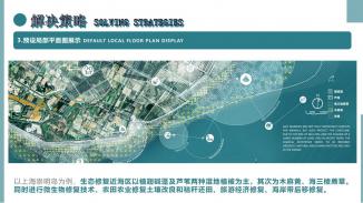 BLUE CARBON PLAN——碳中和背景下沿海盐沼和碳汇的保护