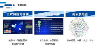 乡村振兴，科技助力——三农问题可视化分析平台