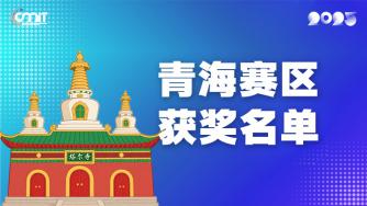 赛区获奖公告|关于公示2025年全国大学生数字媒体科技作品及创意竞赛(青海赛区)获奖名单的通知