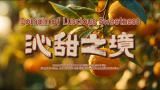 《沁甜之境》