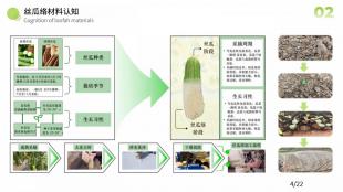 基于速生生物丝瓜络纤维的老年人运动护具设计